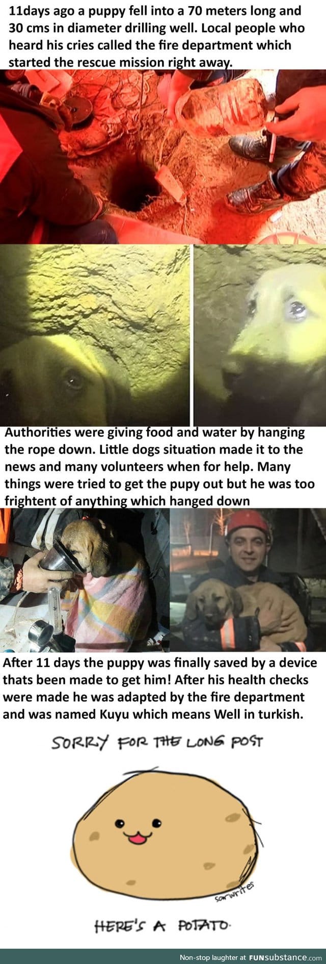 Took 11 days to rescue the puppy