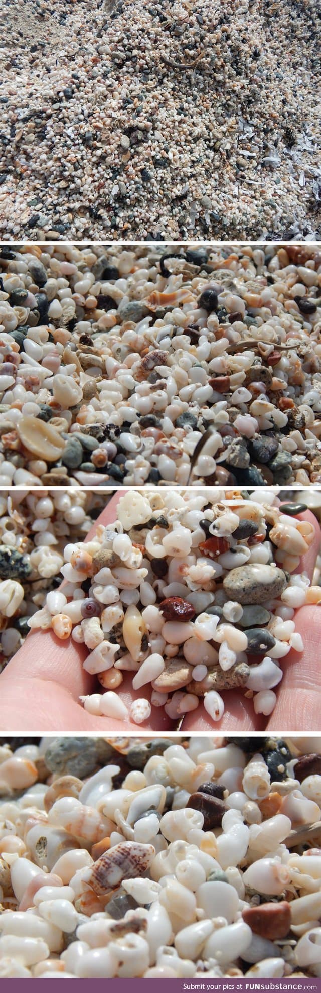 A beach made of tiny shells