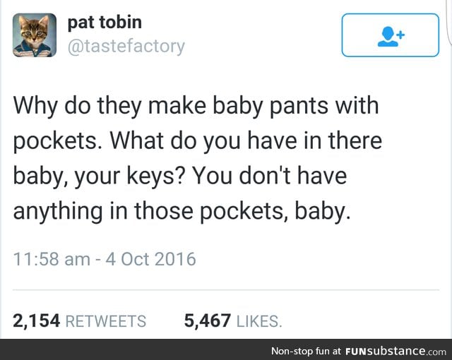 Do the babies have pockets to carry their mom's belongings or something?
