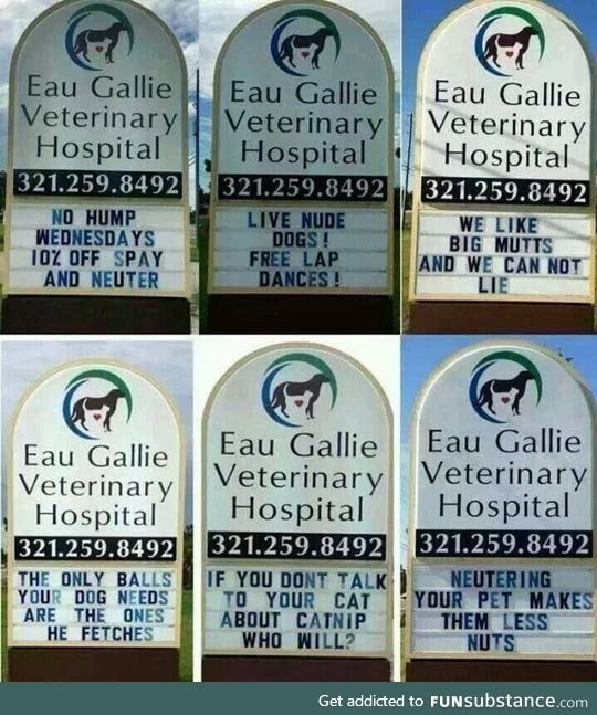Creative veterinary signs