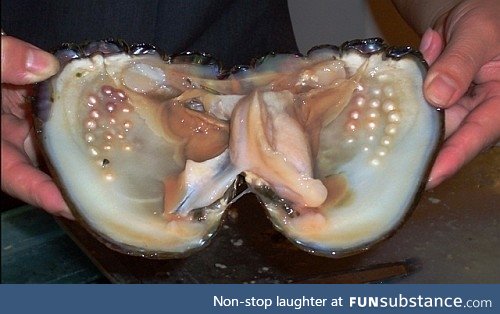 Pearls inside an oyster