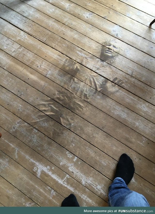 There's a human fossil in the floor planks