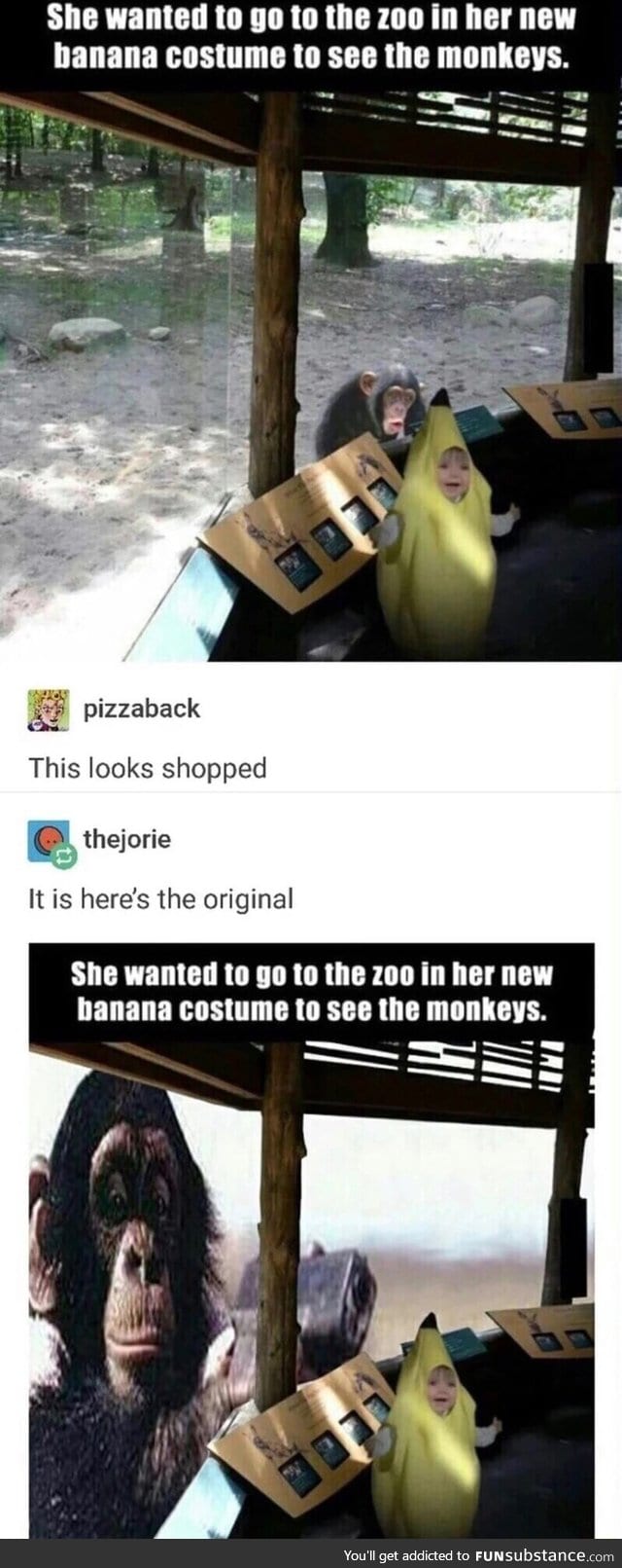 Banana suit at the zoo