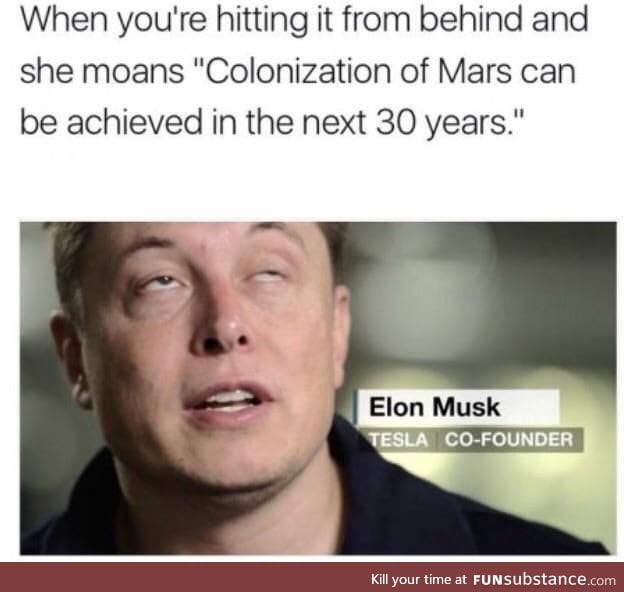 Elon Musk's fantasy