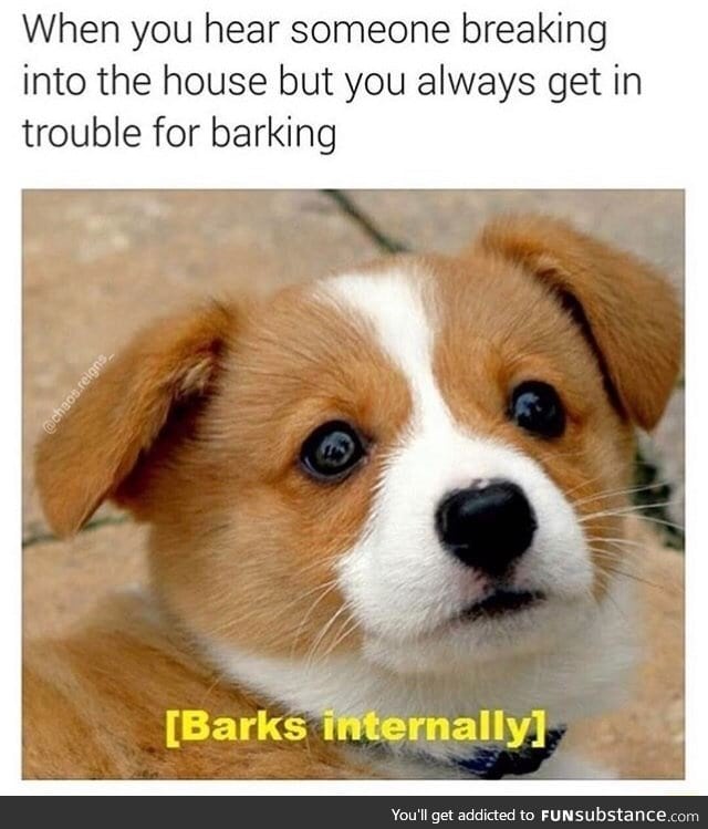 When you actually need him to bark