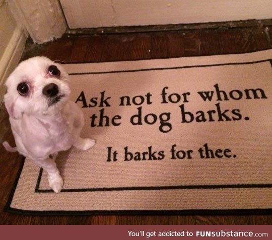 For whom the dog barks