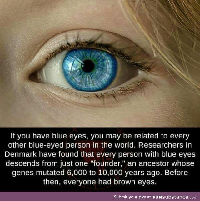 People with blue eyes share the same parent