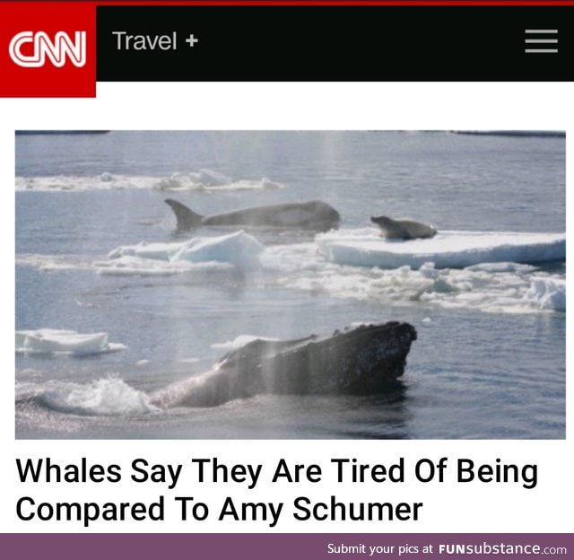 I speak for the whales
