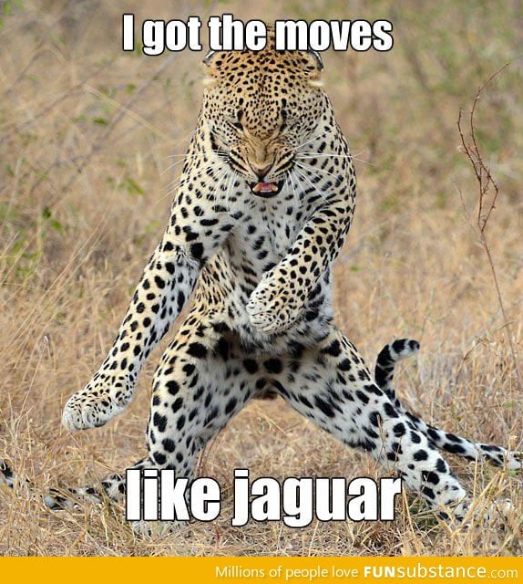 Moves Like Jaguar