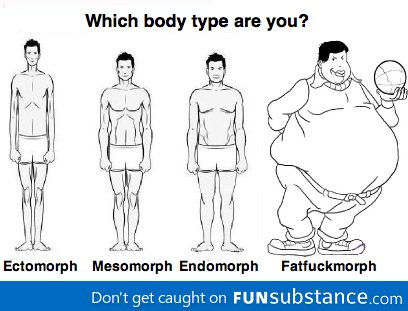 Which body type are you?