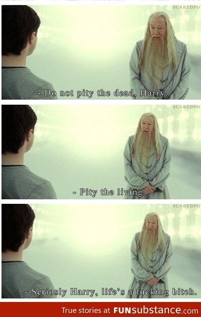 Dumbledore the wise