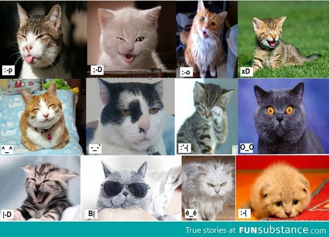 Emotics Cats