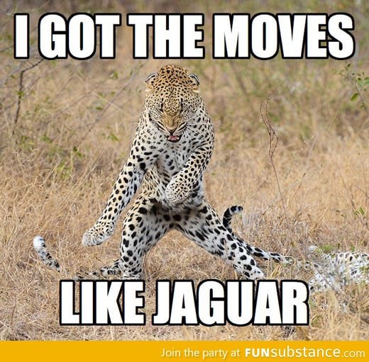 He's got the moves like Jagger