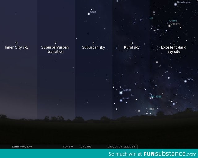 The effects of light pollution