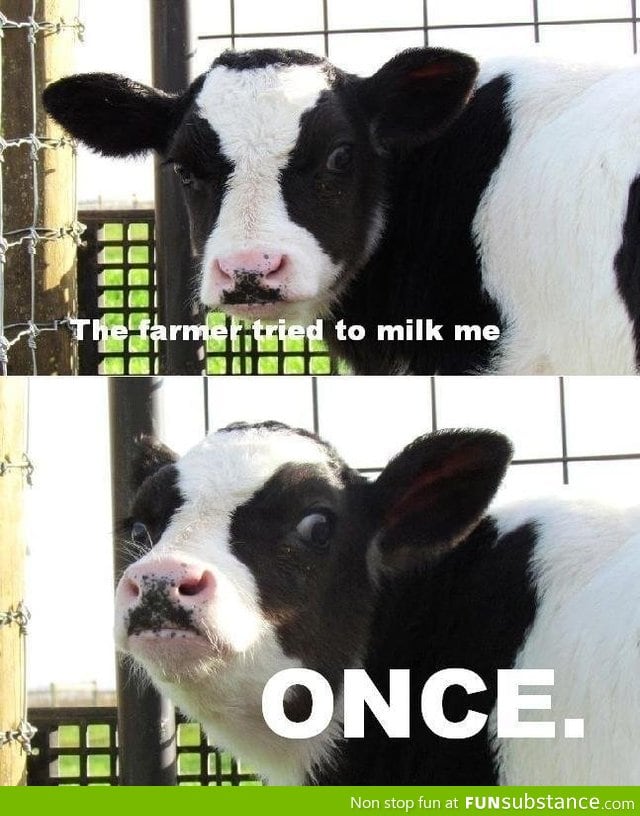 The farmer tried to milk me once