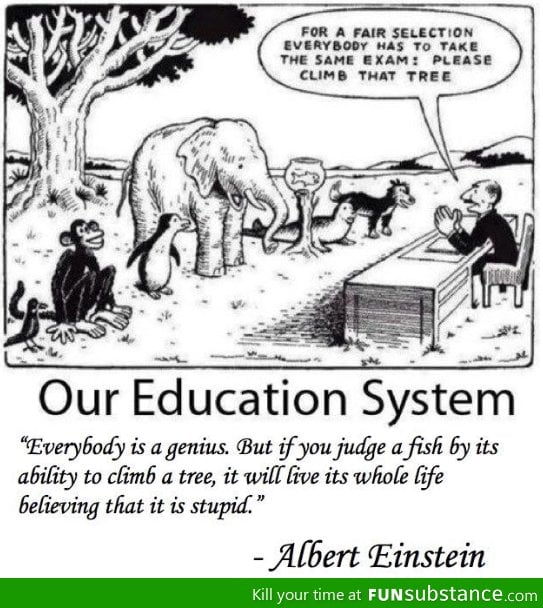 Education system