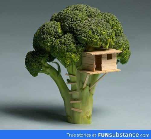 Broccoli house