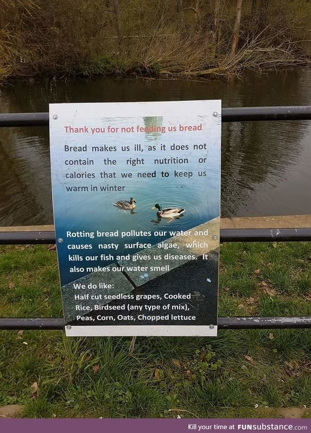 This pond has a warning about feeding the ducks bread