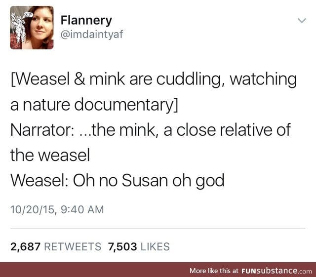 Poor weasel