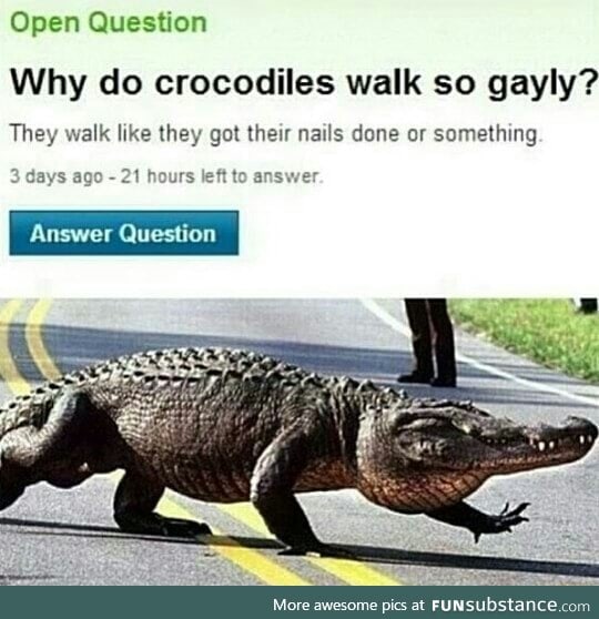 Crocodiles walk like gays