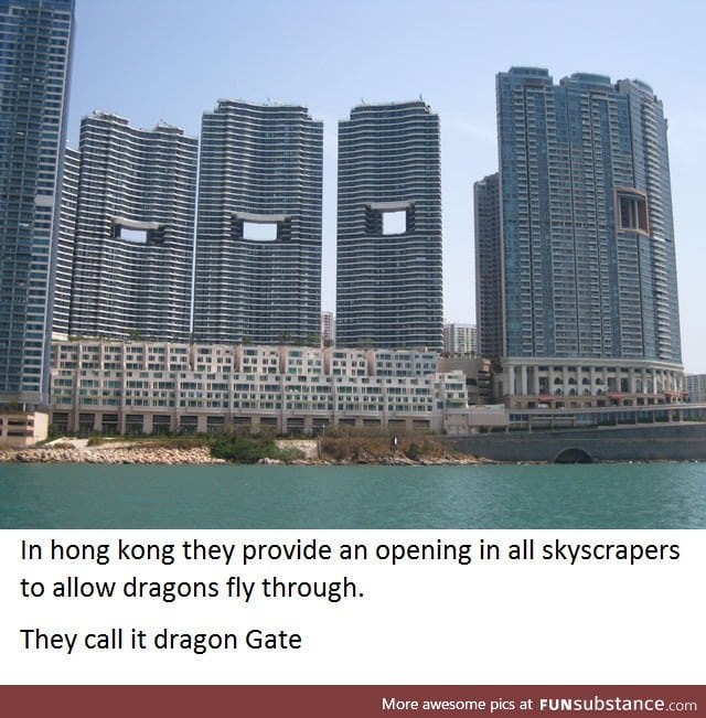 I told you, Dragons are real