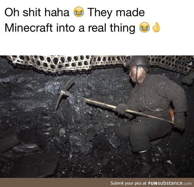 Real life Minecraft