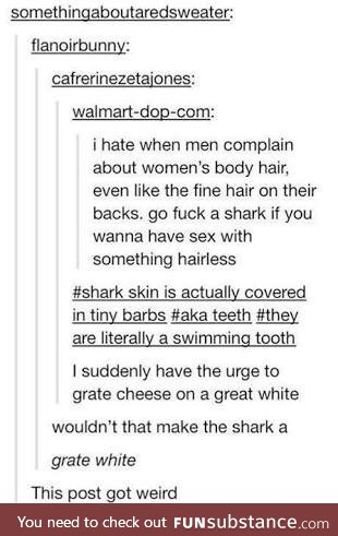 If I was a shark, I'd become a singer and name myself Sharkira