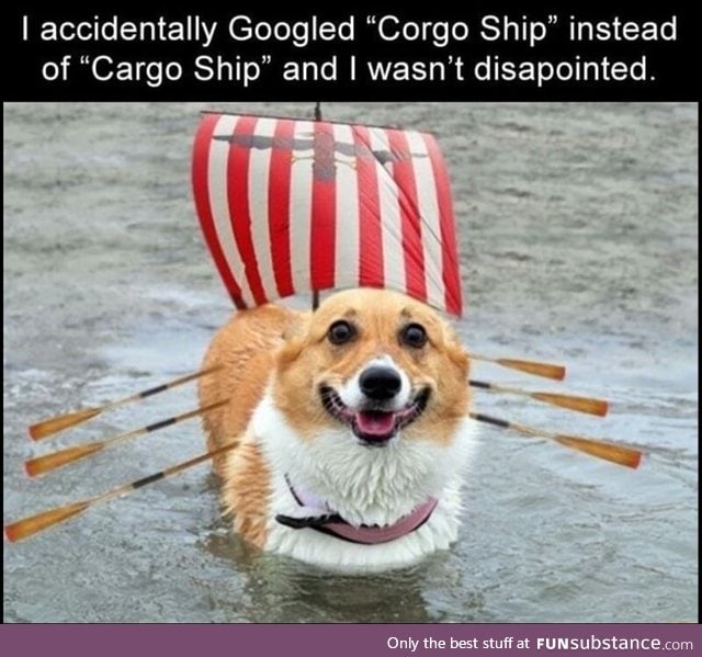 Corgo ship
