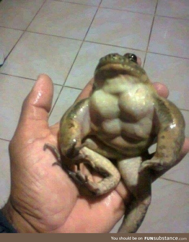 Battle toad?