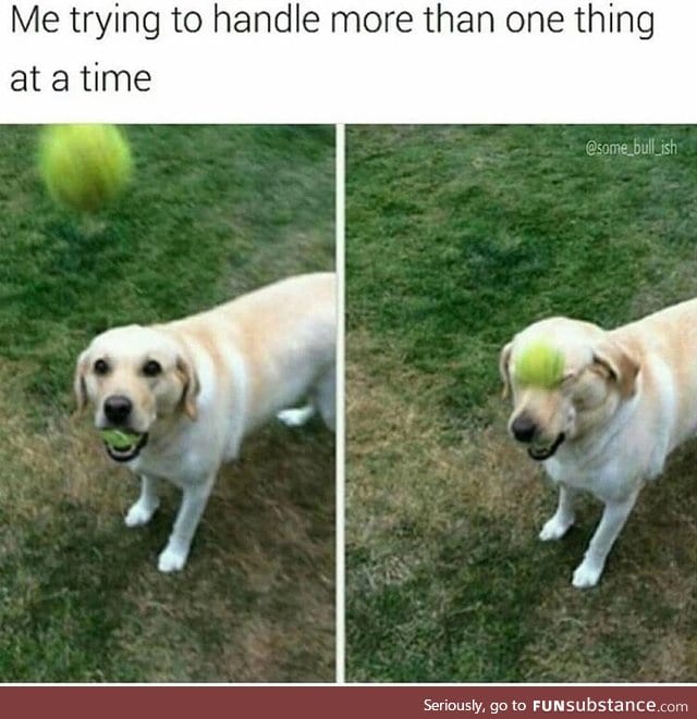 Poor doggo