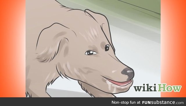 What the actual f*ck Wikihow