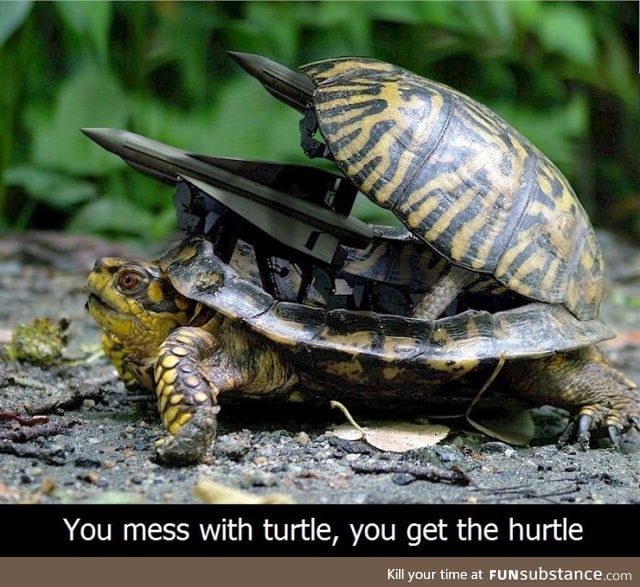 Tortoise super soldier