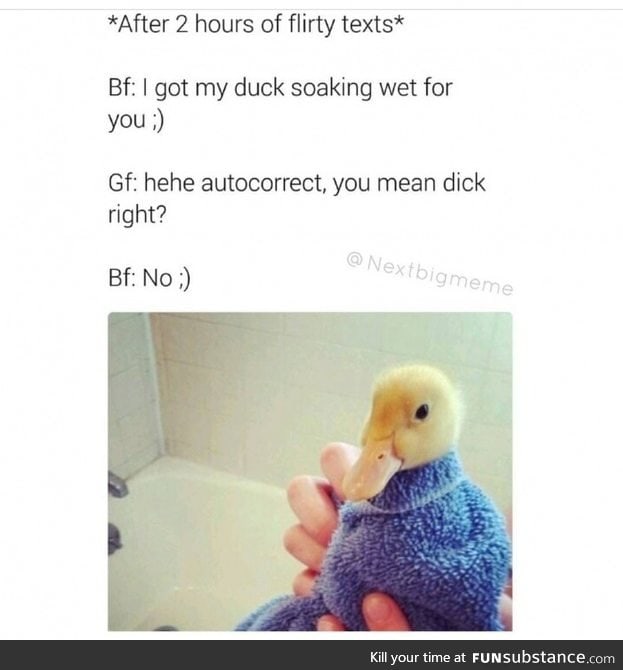I prefer ducks