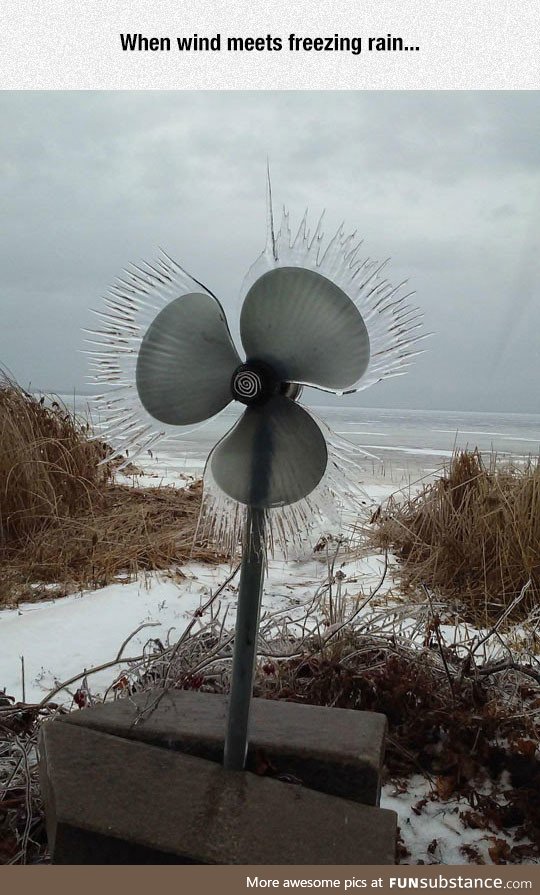 Wind vs. Freezing rain