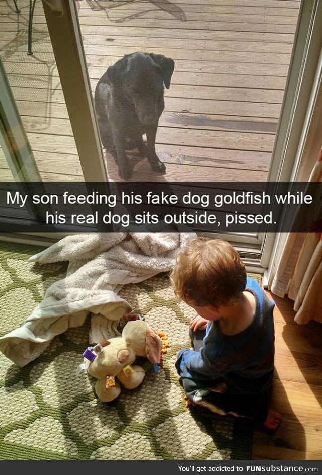 Poor doggo :(