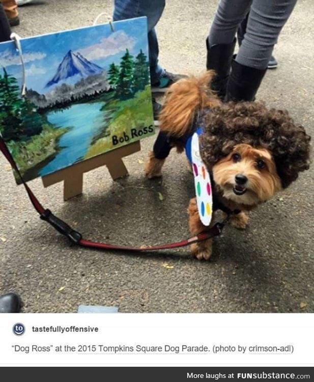 Pupper does an art