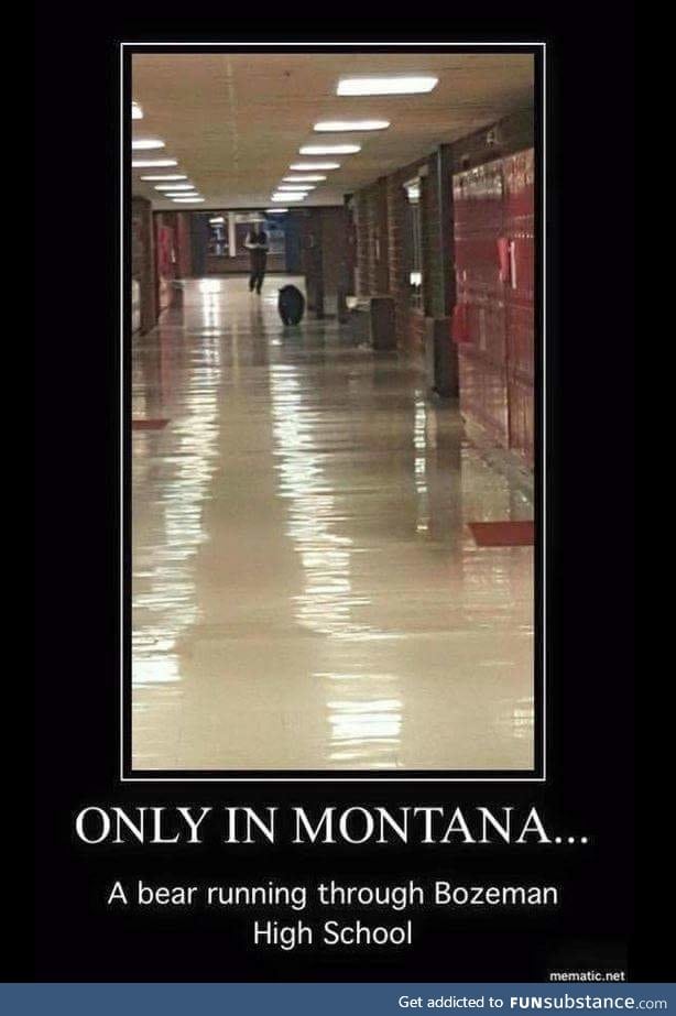 as a native Montanan I can say this is accurate