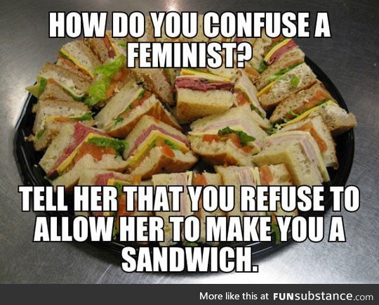Confuse a feminist