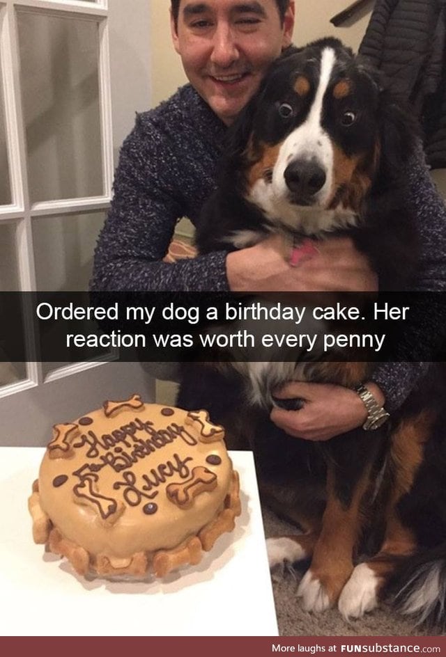 Happy birthday doggo