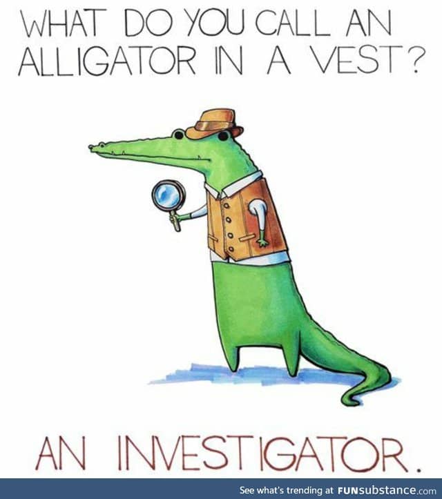 Ally gator P.I.