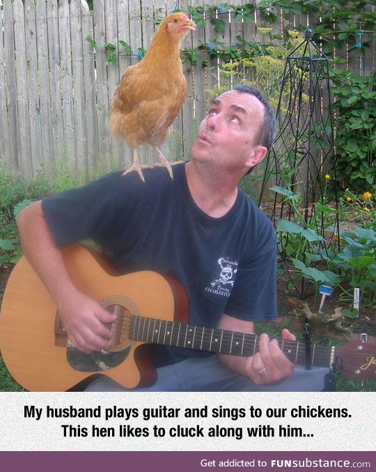 Chicken pickin'