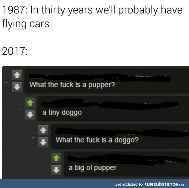 The future is here and it's full of doggos