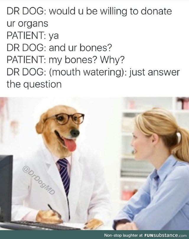Answer the doggo's question