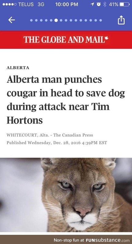 Most Canadian news story ever