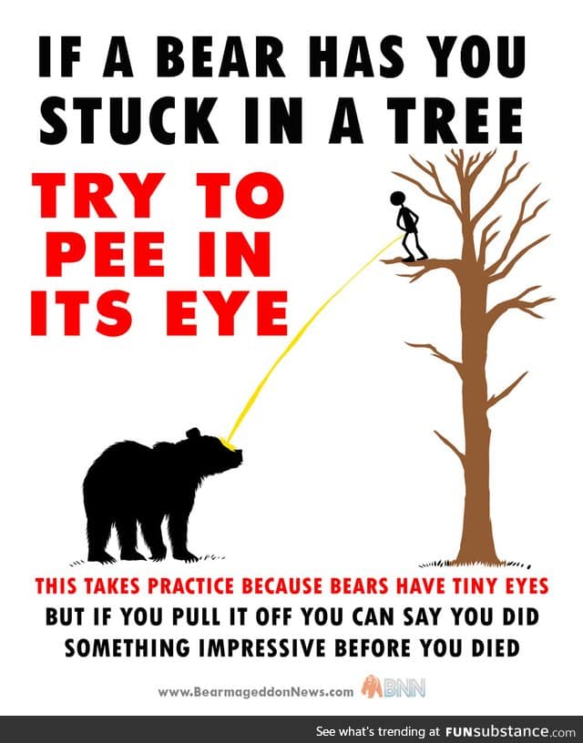 Bear has you in a tree? Do this: