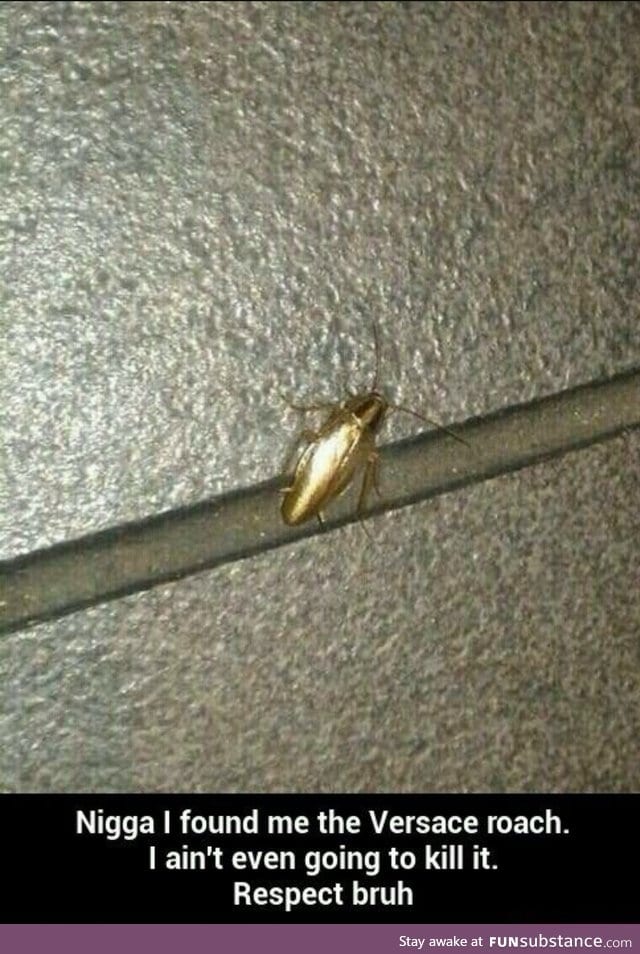 The Godly Versace Roach