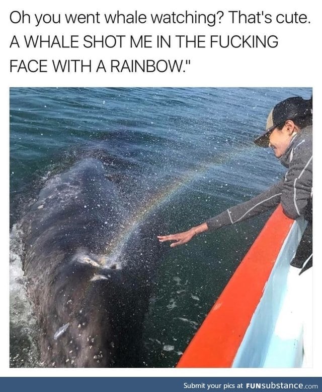 Whale rainbow