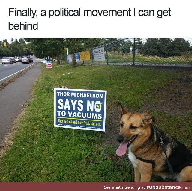 Vacuums are too loud for doggos