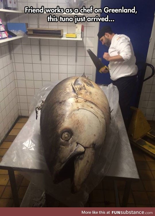 That's One Huge Tuna