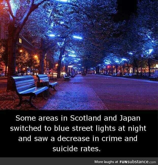 This is so chilling. I hope this can be implemented around the world